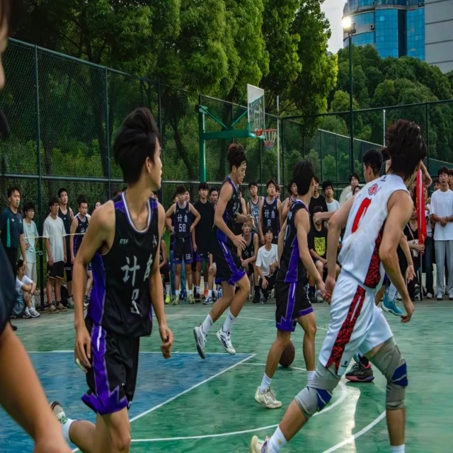 叶诗文复出：泳坛传奇的重新启航